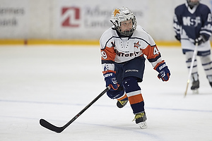 Klik for at se eller bestil foto