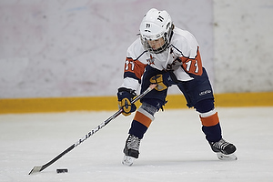 Klik for at se eller bestil foto