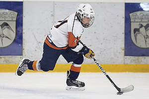 Klik for at se eller bestil foto