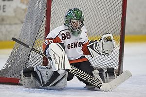 Klik for at se eller bestil foto