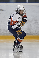 Klik for at se eller bestil foto