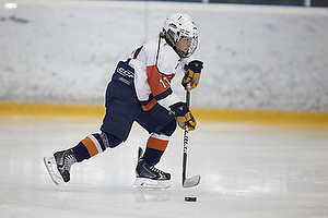 Klik for at se eller bestil foto