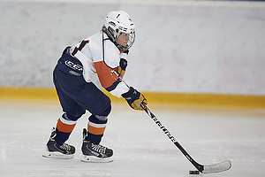 Klik for at se eller bestil foto