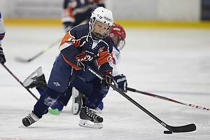 Klik for at se eller bestil foto