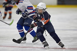 Klik for at se eller bestil foto