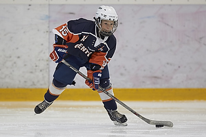 Klik for at se eller bestil foto