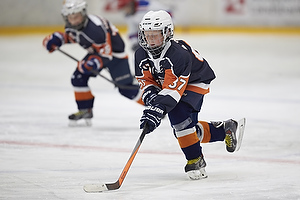 Klik for at se eller bestil foto