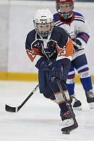 Klik for at se eller bestil foto