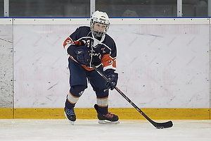 Klik for at se eller bestil foto