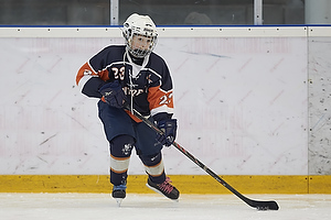 Klik for at se eller bestil foto