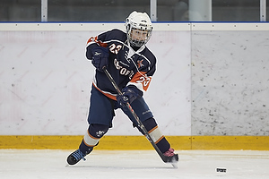 Klik for at se eller bestil foto