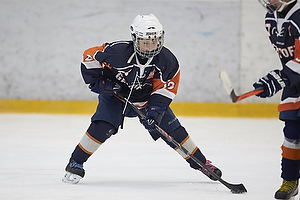 Klik for at se eller bestil foto