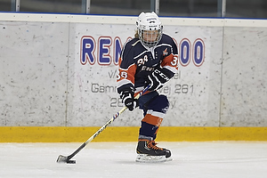 Klik for at se eller bestil foto