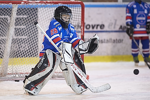 Klik for at se eller bestil foto