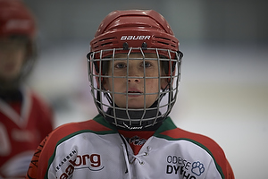 Klik for at se eller bestil foto