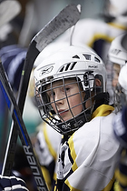 Klik for at se eller bestil foto