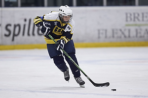 Klik for at se eller bestil foto