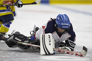 Klik for at se eller bestil foto