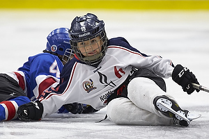 Klik for at se eller bestil foto