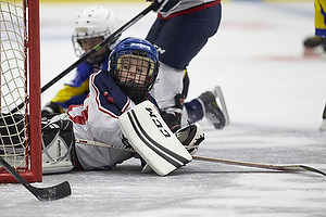 Klik for at se eller bestil foto