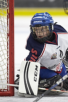 Klik for at se eller bestil foto