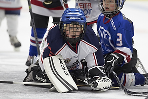 Klik for at se eller bestil foto