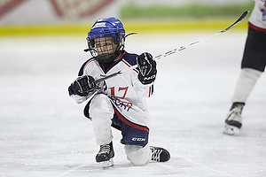 Klik for at se eller bestil foto