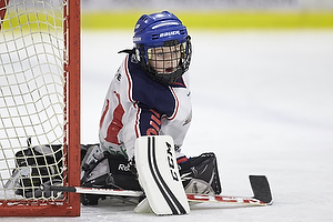 Klik for at se eller bestil foto