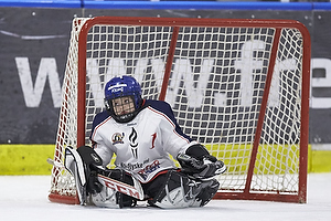 Klik for at se eller bestil foto