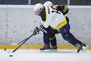 Klik for at se eller bestil foto