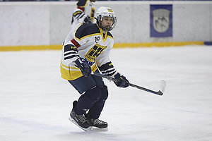 Klik for at se eller bestil foto