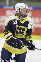 Klik for at se eller bestil foto