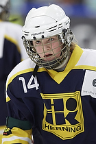 Klik for at se eller bestil foto