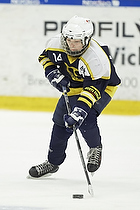 Klik for at se eller bestil foto