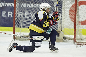 Klik for at se eller bestil foto