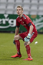 Lukas Hradecky (Brndby IF)