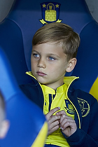 Brndbyfan sidder i trnerboksen