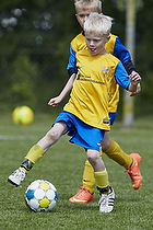 Klik for at se eller bestil foto