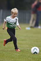 Klik for at se eller bestil foto