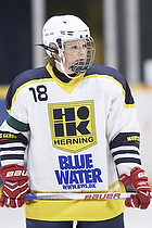 Klik for at se eller bestil foto