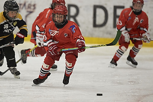 Klik for at se eller bestil foto