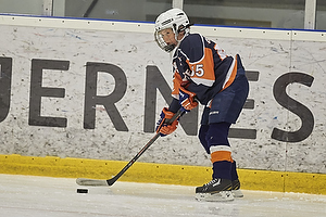 Klik for at se eller bestil foto