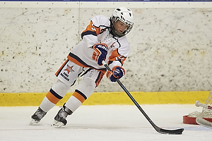 Klik for at se eller bestil foto