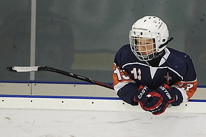 Klik for at se eller bestil foto