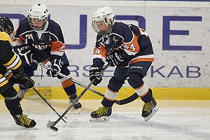 Klik for at se eller bestil foto