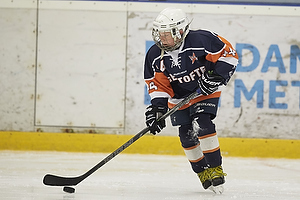 Klik for at se eller bestil foto