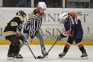 Klik for at se eller bestil foto