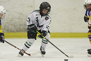 Klik for at se eller bestil foto