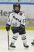 Klik for at se eller bestil foto