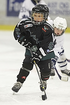 Klik for at se eller bestil foto